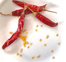Lywire Pure & Powerful Hybrid Chilli Seeds β Hot & Healthy Yield