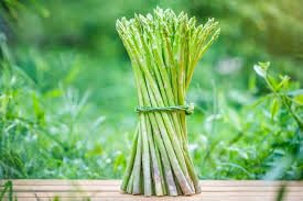 Lywire Farm Fresh Asparagus Seeds β Non-GMO & 100% Pure for Gardening