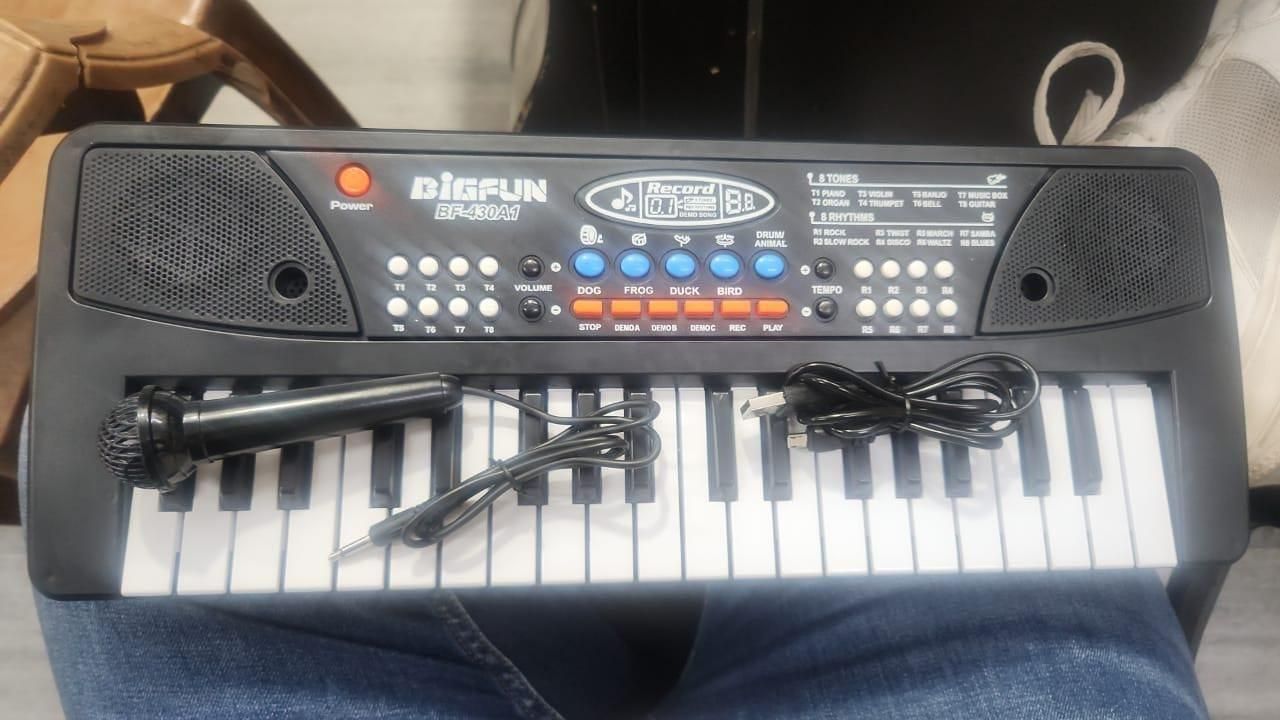 Lywire™ Sing & Play Piano Studio