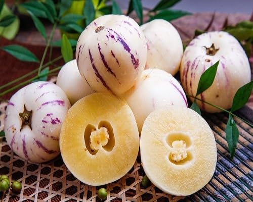 Lywire High-Purity Ginseng Fruit Seeds β Perfect for Herbal Gardening