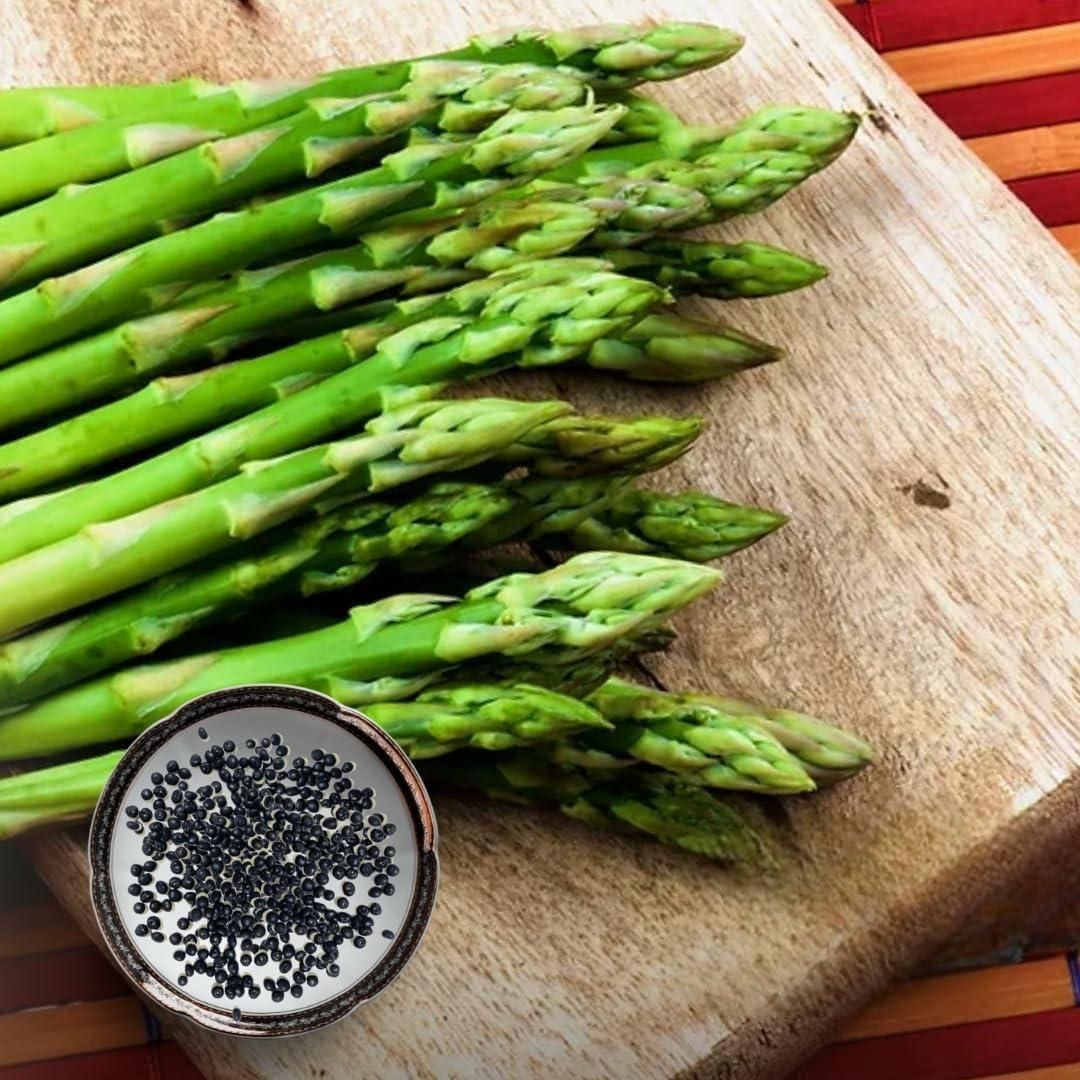 Lywire Farm Fresh Asparagus Seeds β Non-GMO & 100% Pure for Gardening