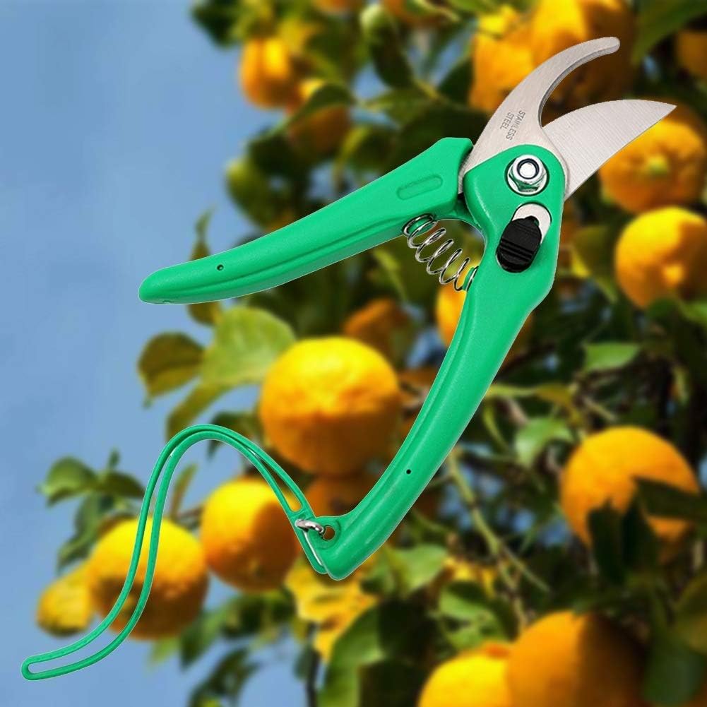 Lywire🌳 High-Performance Garden Scissors ✂️ | Premium Stainless Blade | Durable & Precise Cutting Tool – NEW
