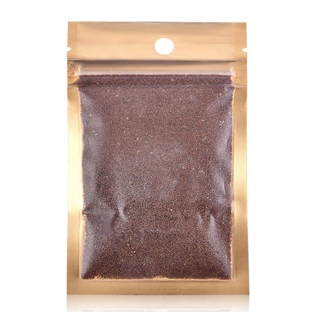 Lywire Premium Aquatic Double Leaf Aquarium Plant Seeds πΏπ