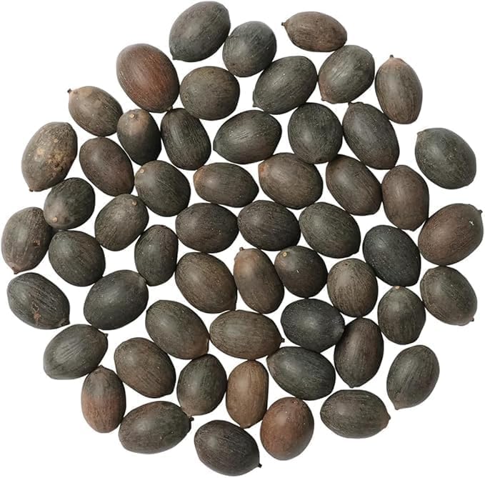 Lywire Elite Bonsai Lotus Flower Seeds β Authentic & Vibrant Blooms