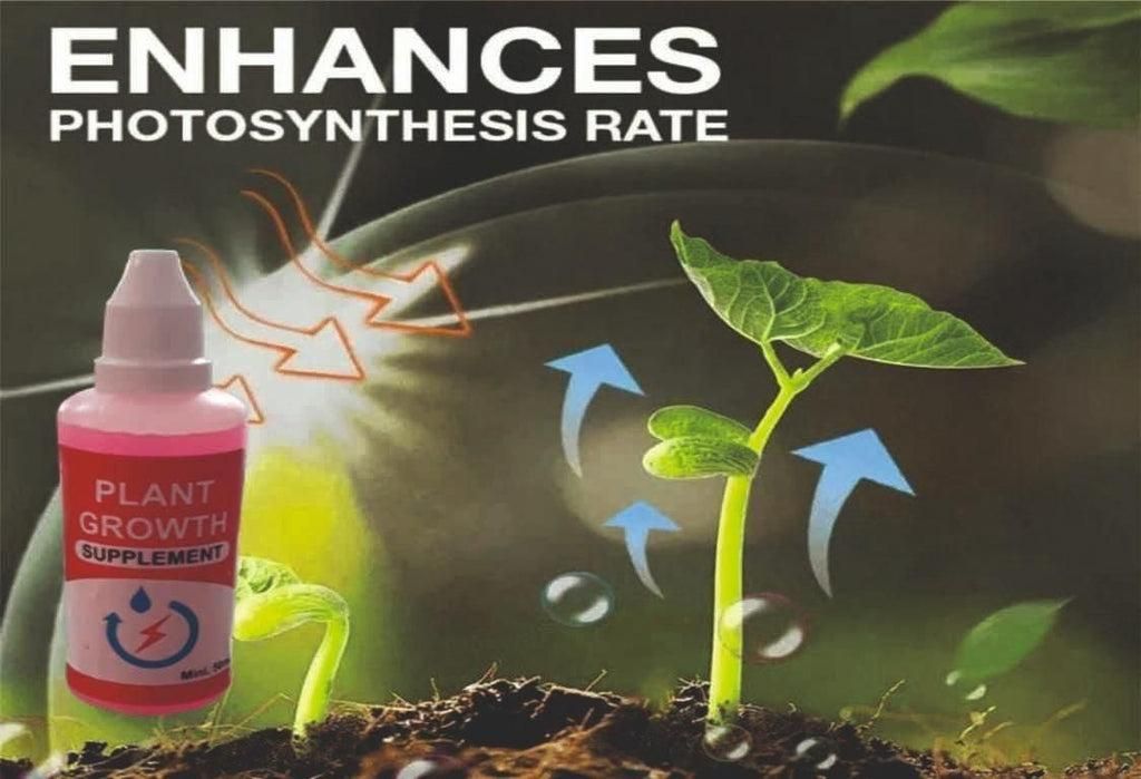 Lywire™ 🌱 Premium Plant Growth Enhancer – Boost Your Plants with High-Quality Nutrition (Pack of 1)!