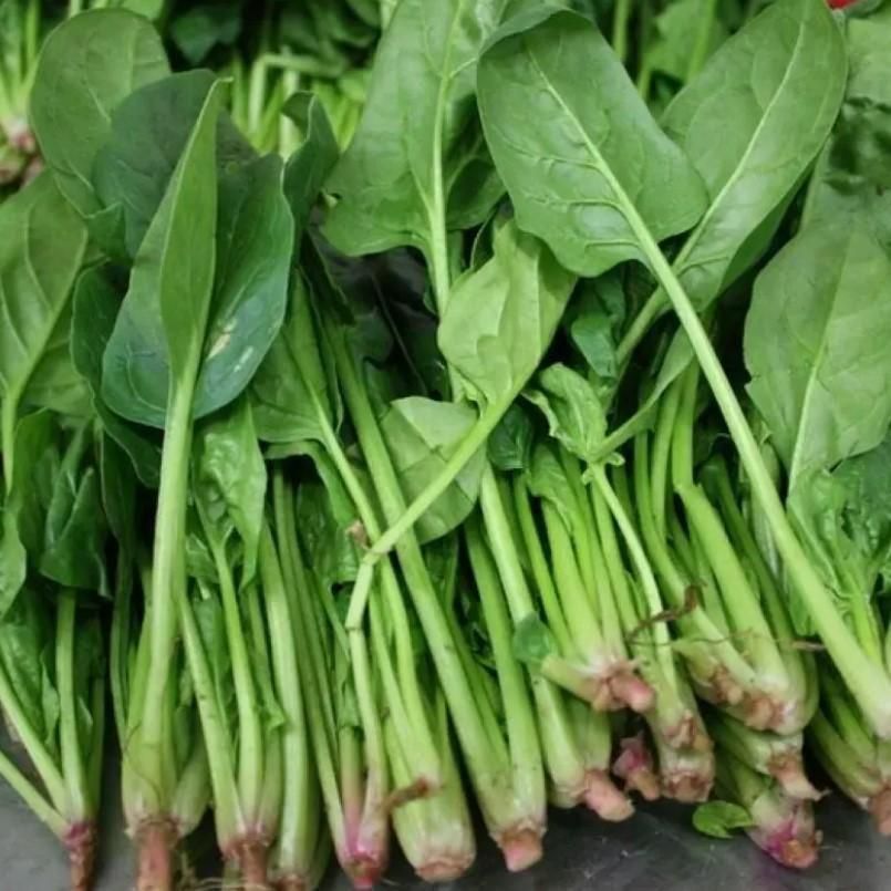 Lywire Handpicked Spinach Seeds β Best for Home & Kitchen Gardens