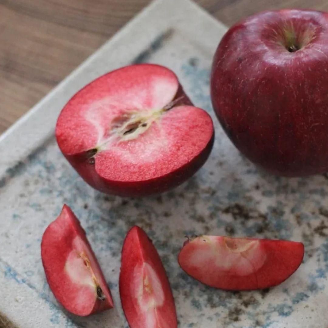 Lywire Premium Red Apple Seeds β High-Quality & 100% Original
