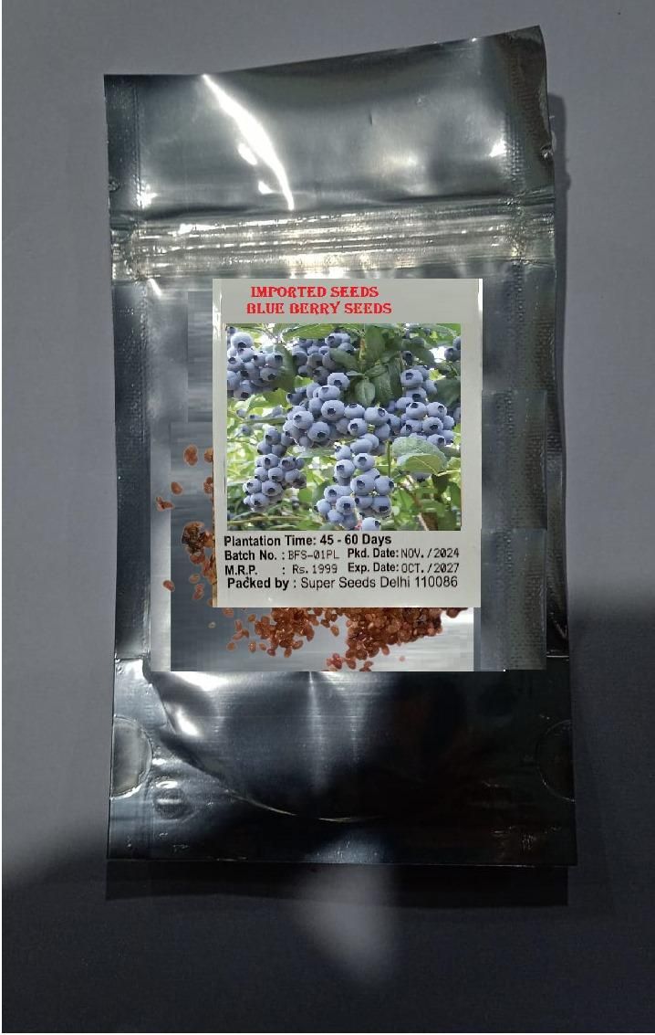 Lywire Original Blueberry Fruit Seeds β Premium Giant Berries for Your Garden
