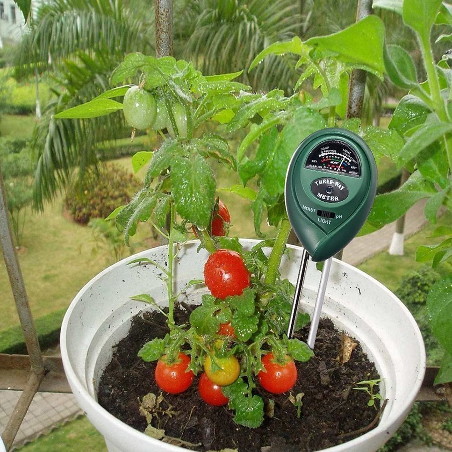 Lywire Premium 3-in-1 Soil Tester β High-Quality pH Meter & Moisture Sensor for Indoor & Outdoor Gardening π±πΏ
