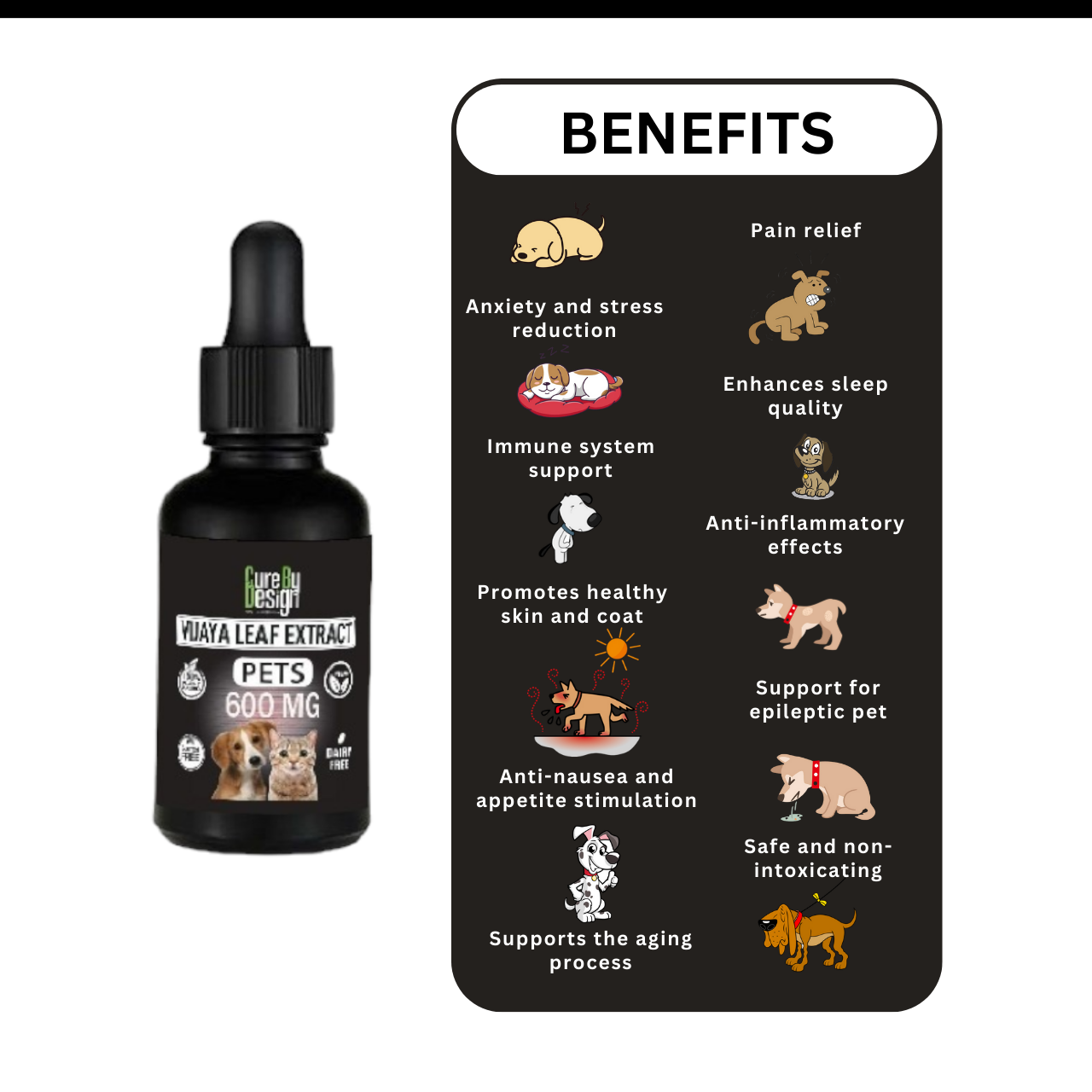 Lywire Vijaya for Pets โ 600mg Full Spectrum CBD Oil