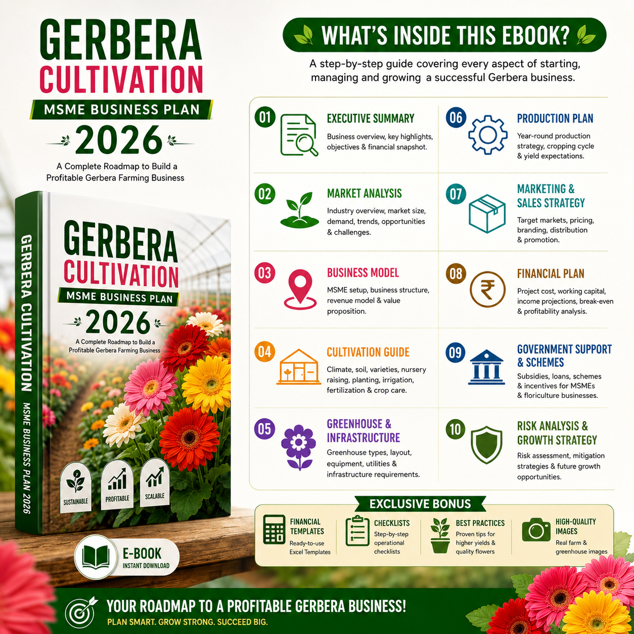 Gerbera Cultivation Business Plan illustrating soil sterilization/fumigation, raised-bed formation, tissue-culture plantlet spacing, drip fertigation, pest scouting, and post-harvest stem grading/sleeving.