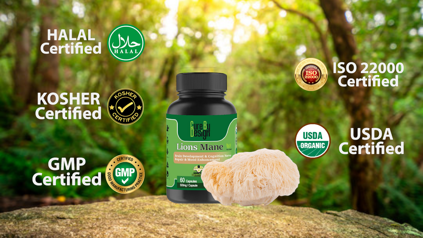 Lywire Lion’s Mane – Enhance Your Cognitive Function & Memory