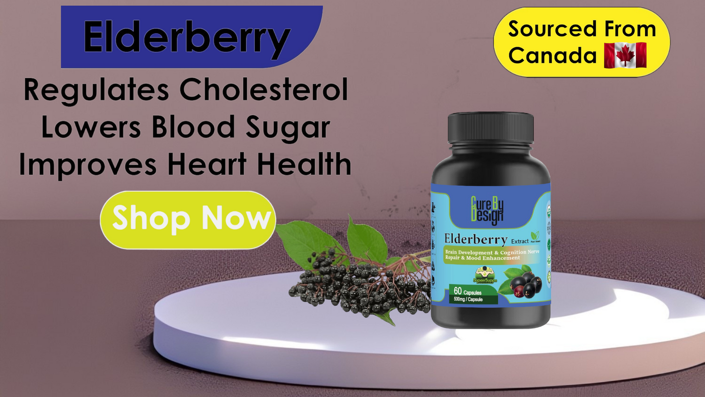 Lywire Elderberry Capsules: Premium Wellness Support