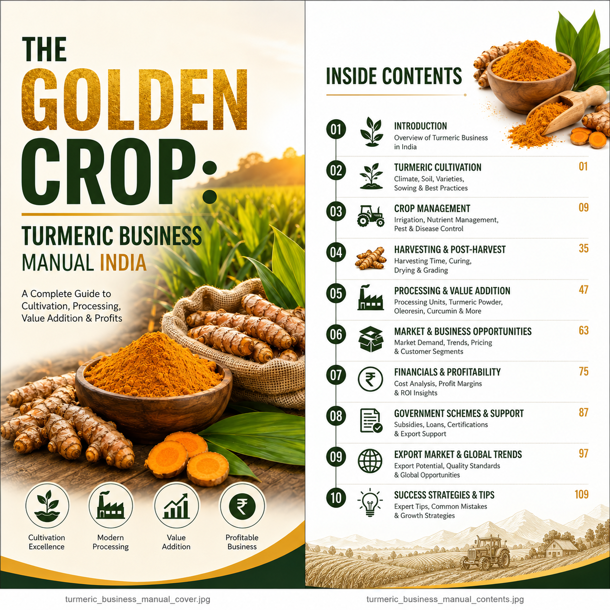A promotional cover and inside-contents page for a business manual titled "The Golden Crop: Turmeric Business Manual India," featuring turmeric roots, turmeric powder, and a globe icon list of chapters on the right.
