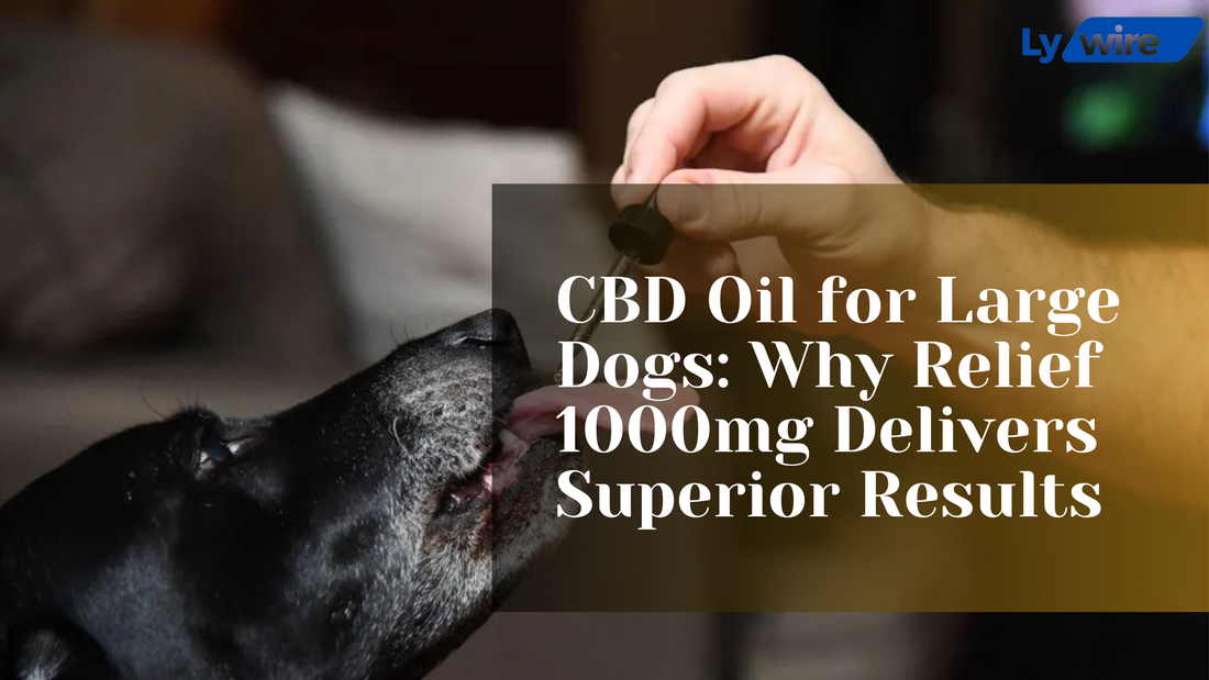 CBD Oil for Large Dogs: Why Relief 1000mg Delivers Superior Results
