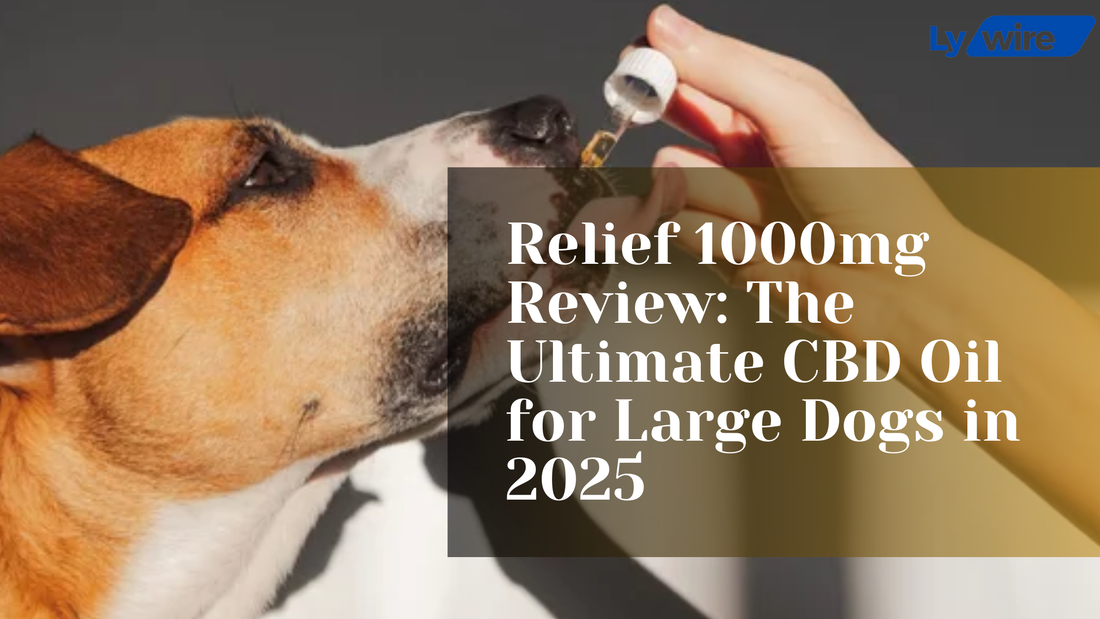 Relief 1000mg Review: The Ultimate CBD Oil for Large Dogs in 2025