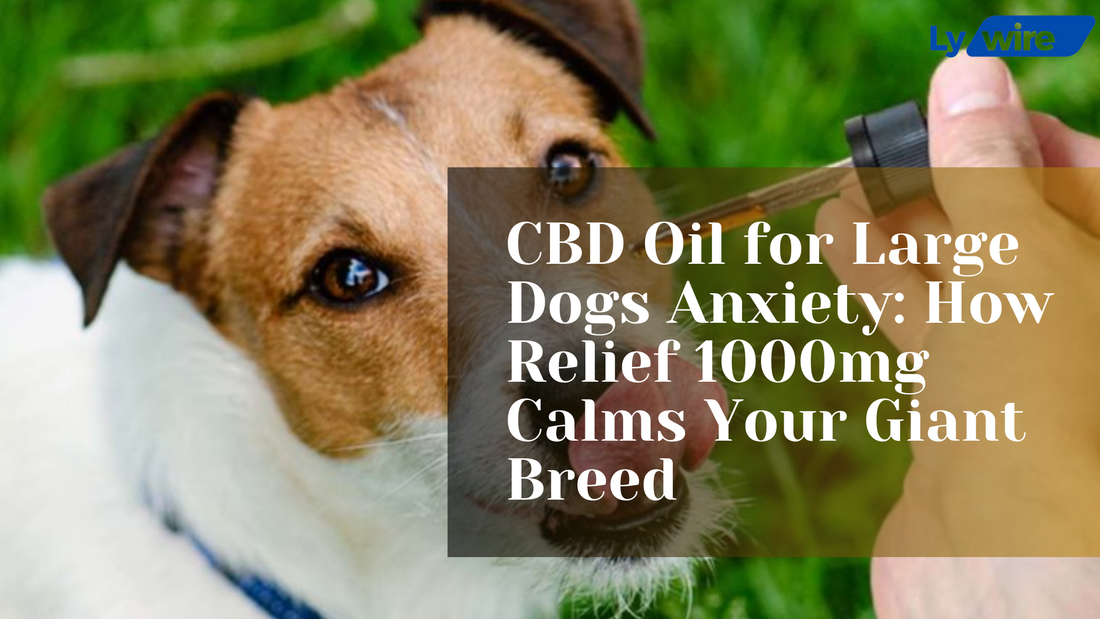 CBD Oil for Large Dogs Anxiety: How Relief 1000mg Calms Your Giant Breed