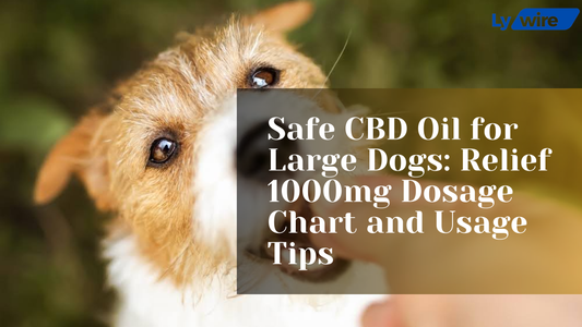 Safe CBD Oil for Large Dogs: Relief 1000mg Dosage Chart and Usage Tips
