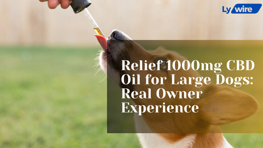 Relief 1000mg CBD Oil for Large Dogs: Real Owner Experience