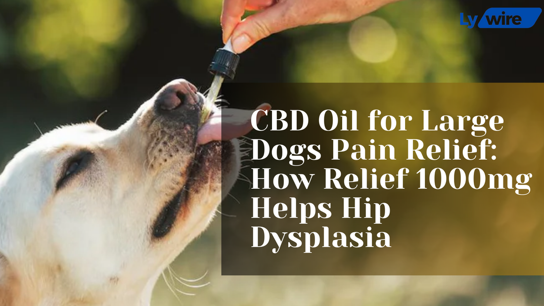 CBD Oil for Large Dogs Pain Relief: How Relief 1000mg Helps Hip Dysplasia