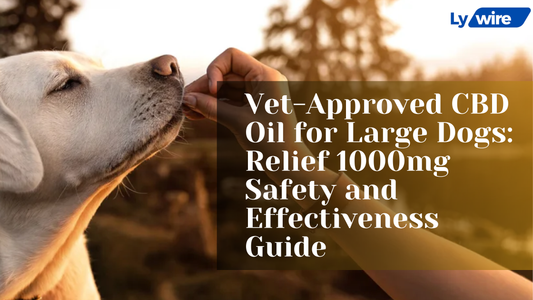 Vet-Approved CBD Oil for Large Dogs: Relief 1000mg Safety and Effectiveness Guide