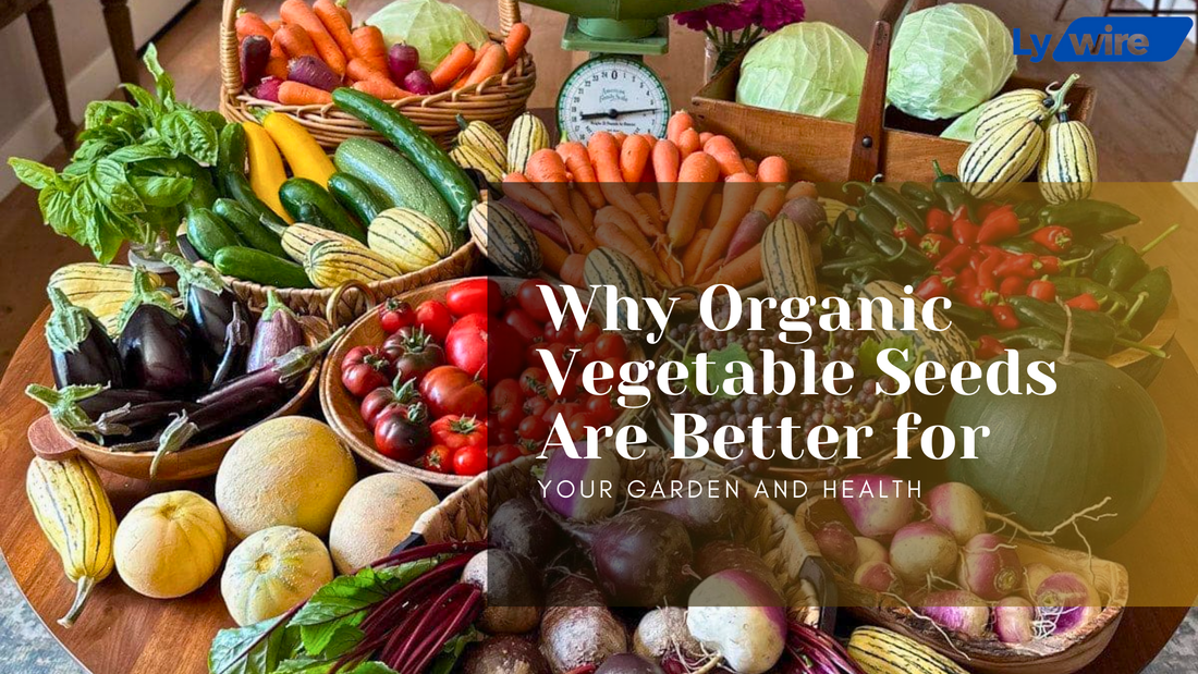  Organic Vegetable Seeds