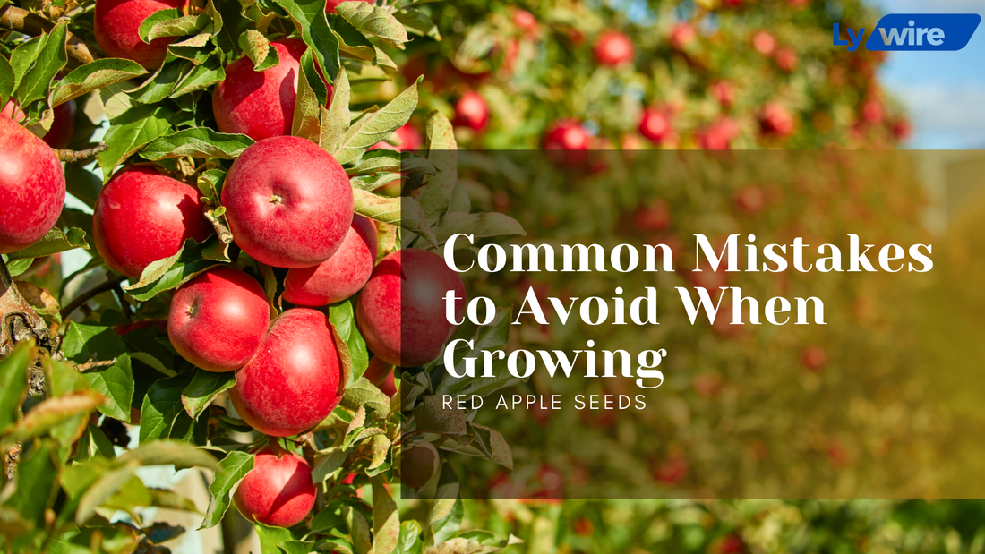 Common Mistakes to Avoid When Growing Red Apple Seeds