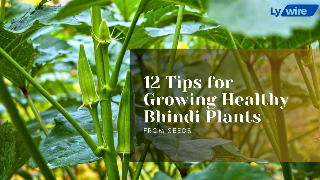 12 Tips for Growing Healthy Bhindi Plants from Seeds
