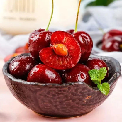 Lywire Premium Rainier Cherry Fruit Seeds – Authentic & High Quality