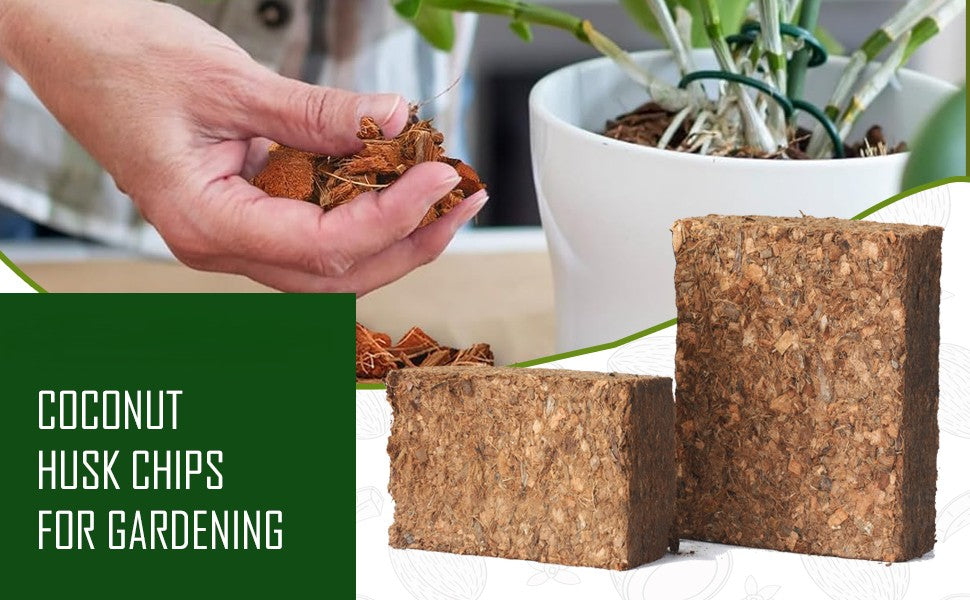 Organic Coconut Coir for Plants