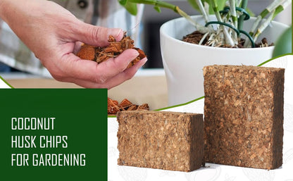 Organic Coconut Coir for Plants