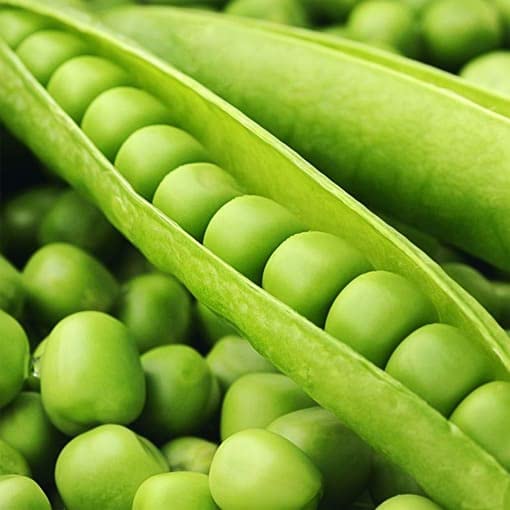 Lywire Natural Green Peas Seeds – Top-Quality & Non-GMO (Pack of 20)