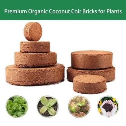 Organic Coconut Coir for Plants