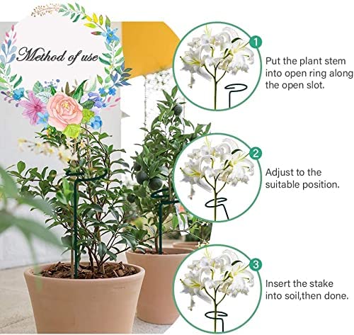 Lywire Heavy-Duty Plant Support Stakes 🌱 – Original 6 Pcs for Indoor Potted Plants 🪴NEW
