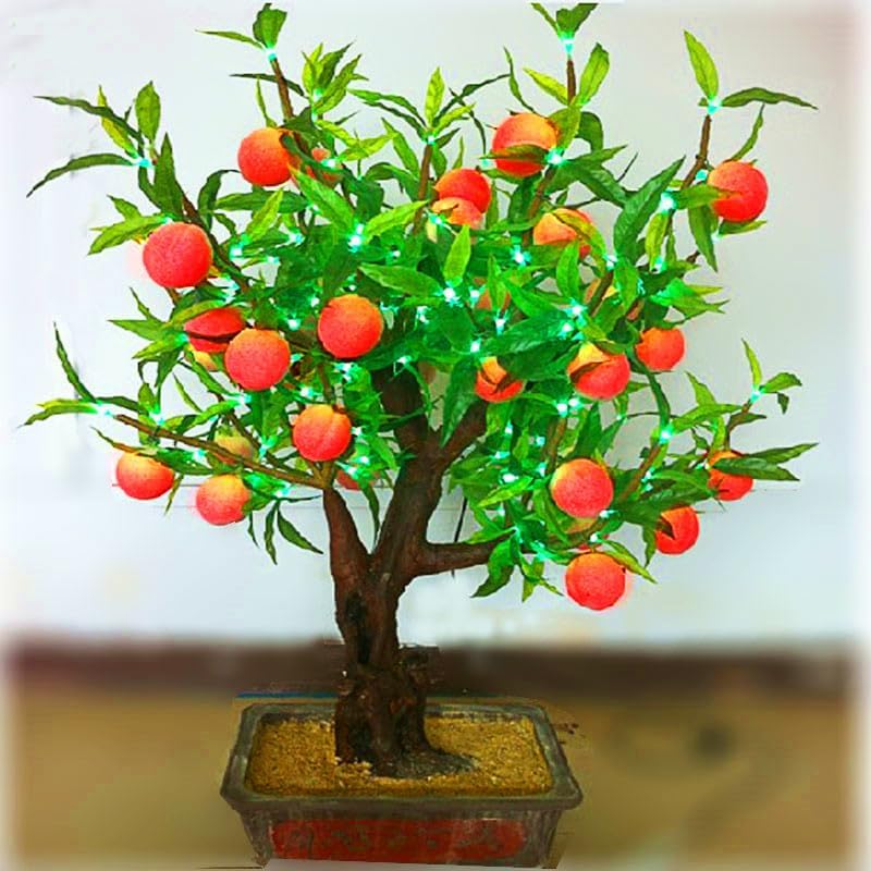 Lywire Premium Peach Tree Seeds – Grow Juicy & Lush Peaches