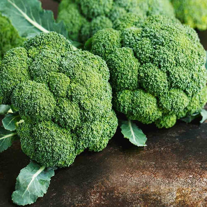 Lywire High-Yield Hybrid Broccoli Seeds – Premium Organic Quality