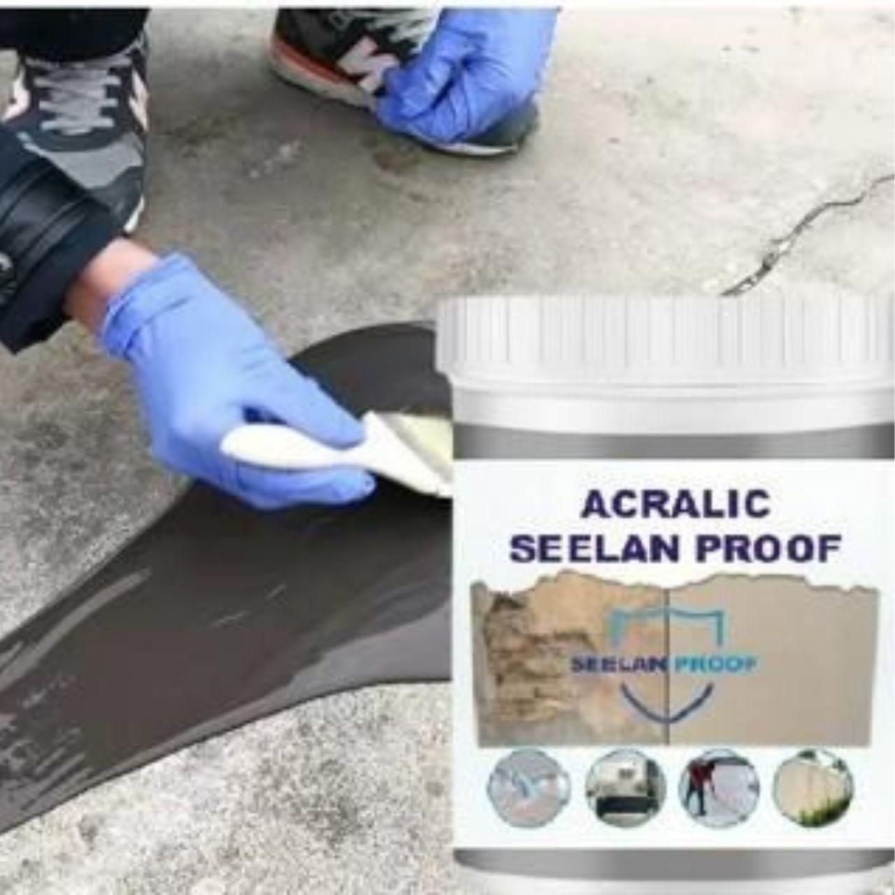 Lywire™ 💦 Exclusive Seelan-Proof Acrylic Sealant – Premium Protection for Your Home! (Pack of 1)