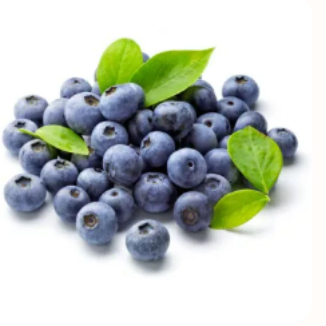 Lywire Original Blueberry Fruit Seeds – Premium Giant Berries for Your Garden