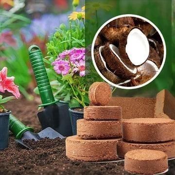 Organic Coconut Coir for Plants