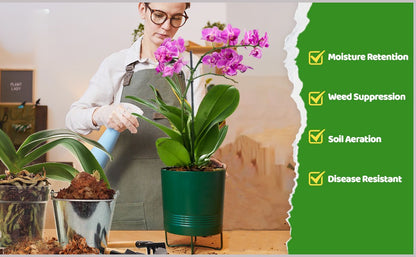 Organic Coconut Coir for Plants