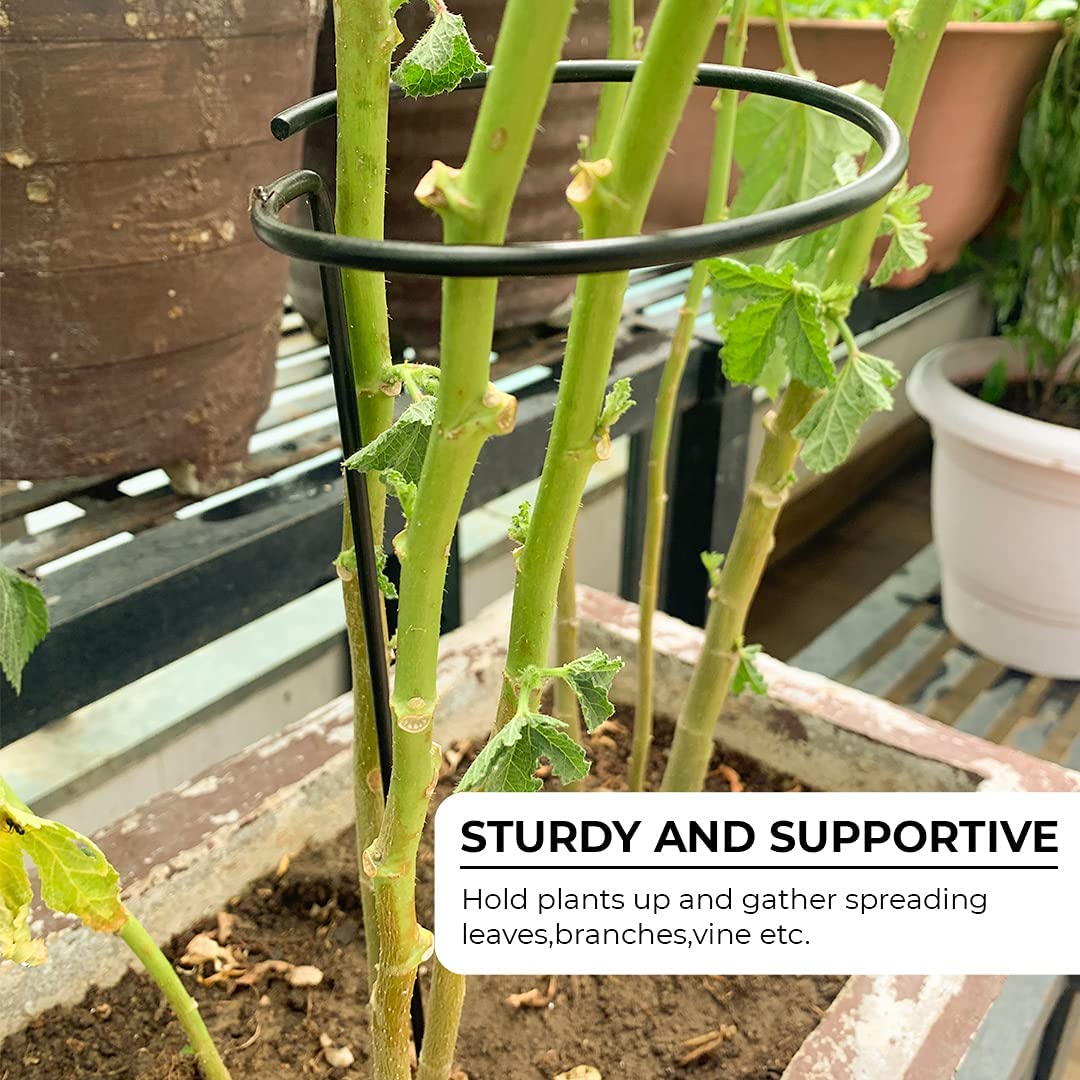 Lywire Heavy-Duty Plant Support Stakes 🌱 – Original 6 Pcs for Indoor Potted Plants 🪴NEW