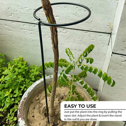 Lywire Heavy-Duty Plant Support Stakes 🌱 – Original 6 Pcs for Indoor Potted Plants 🪴NEW