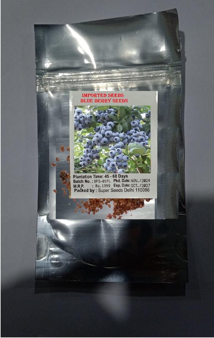 Lywire Original Blueberry Fruit Seeds – Premium Giant Berries for Your Garden