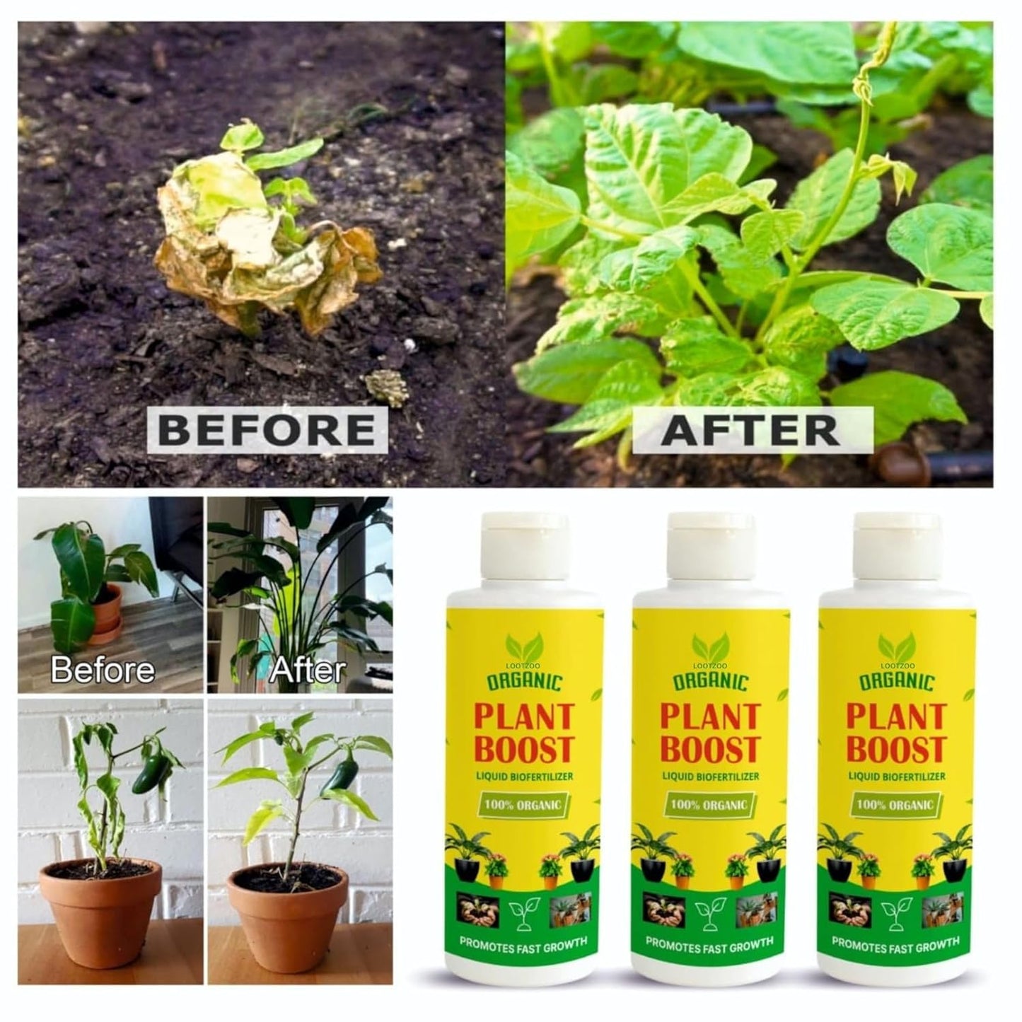 Lywire 🌱 Root Revival & Growth Booster | Original Premium Blend for Thriving Plants 🌿 | NEW