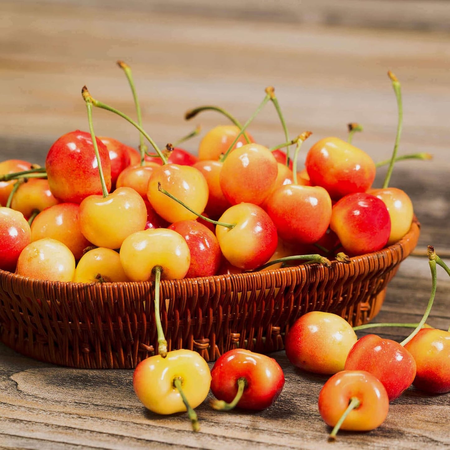 Lywire Premium Rainier Cherry Fruit Seeds – Authentic & High Quality