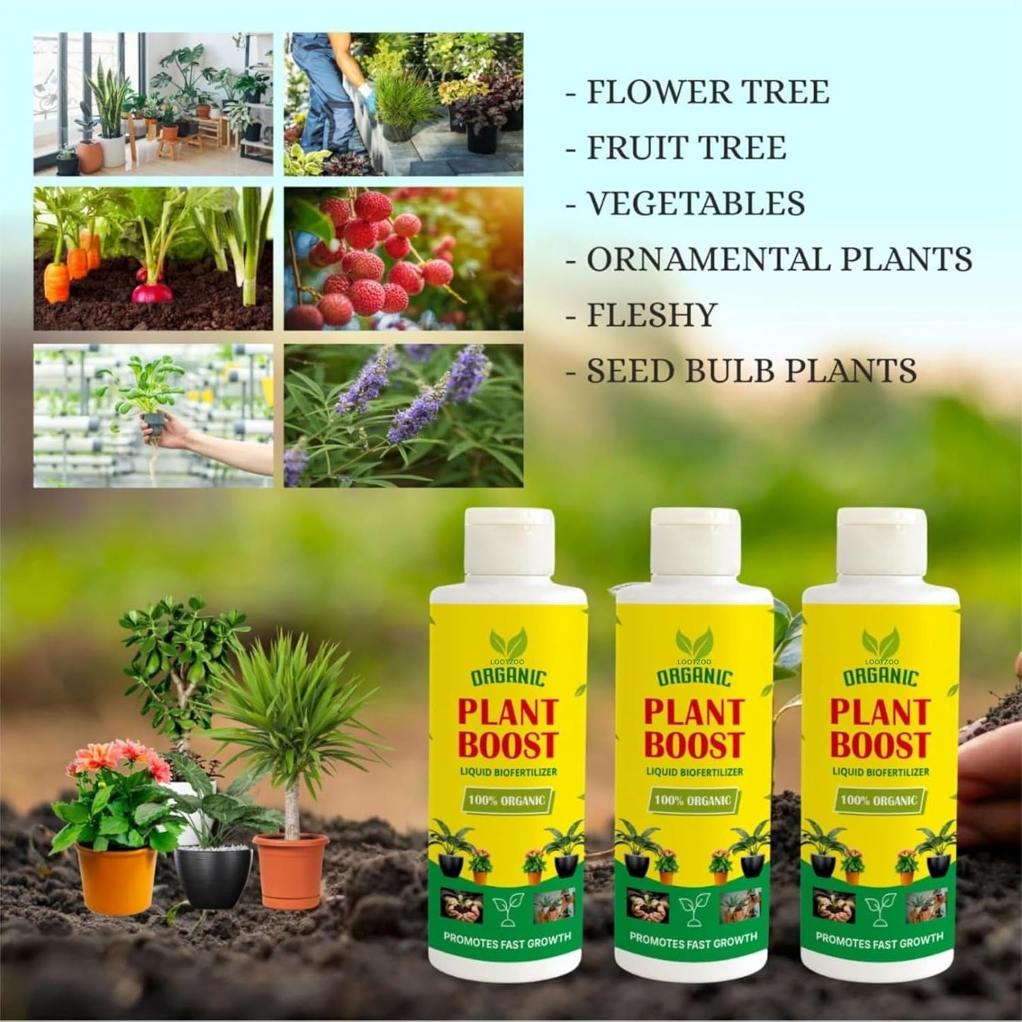 Lywire 🌱 Root Revival & Growth Booster | Original Premium Blend for Thriving Plants 🌿 | NEW