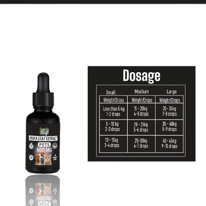 Lywire Vijaya for Pets – 600mg Full Spectrum CBD Oil