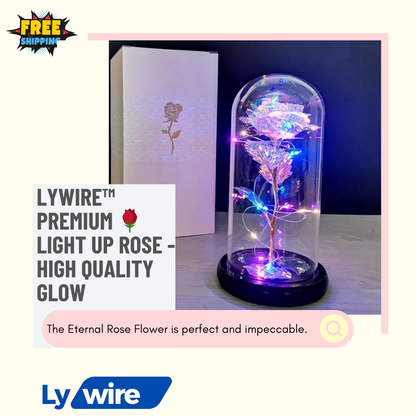 Lywire™ Premium 🌹 Light Up Rose - High Quality Glow for Your Space!