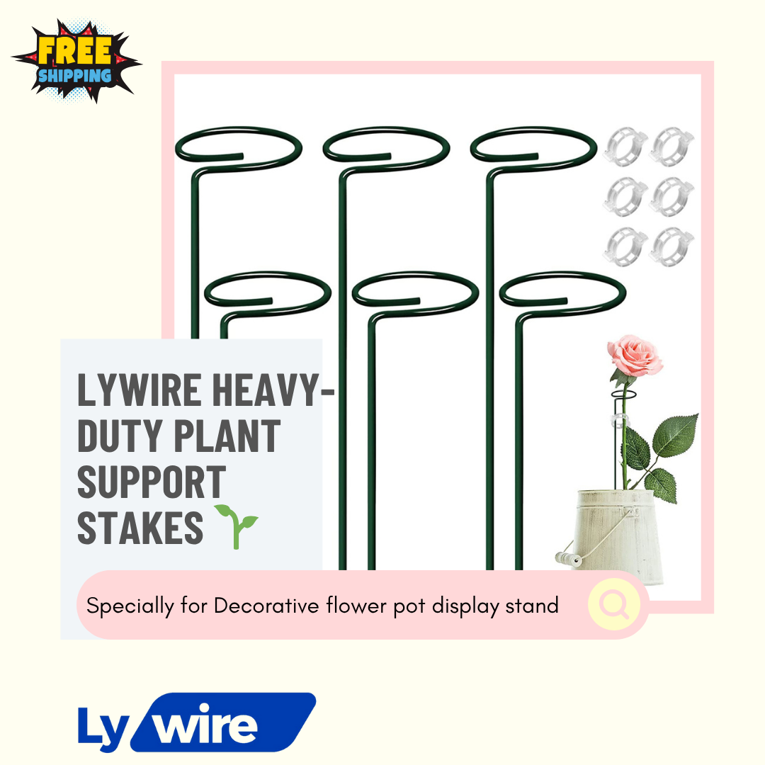 Lywire Heavy-Duty Plant Support Stakes 🌱 – Original 6 Pcs for Indoor Potted Plants 🪴NEW