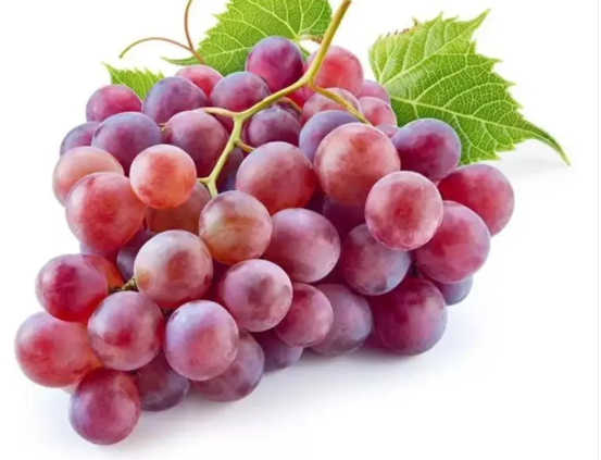 Lywire Pure & Premium Grape Seeds 🍇 | Boost Immunity & Wellness | 20 Pieces – NEW